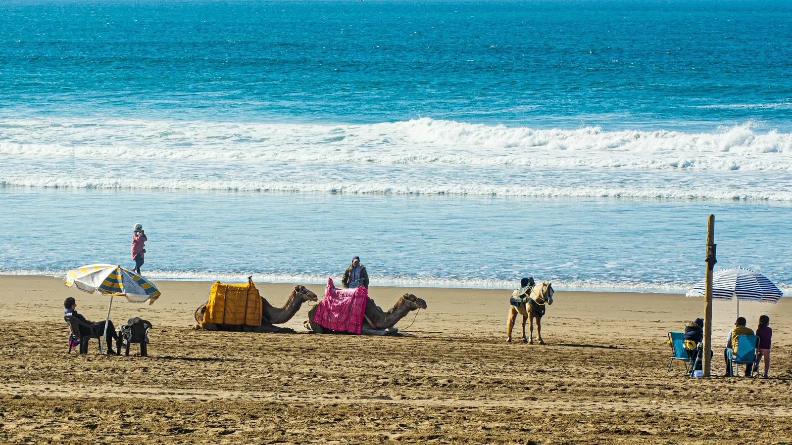 Agadir beach with colorful saddled camels and beachgoers by the Atlantic ocean